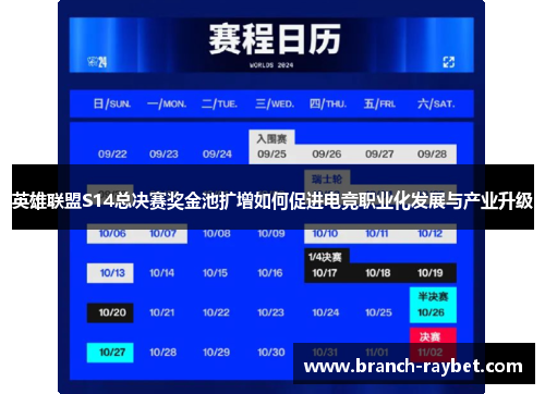 英雄联盟S14总决赛奖金池扩增如何促进电竞职业化发展与产业升级 英雄联盟S14总决赛奖金池扩增如何促进电竞职业化发展与产业升级