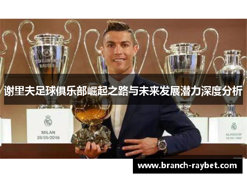 谢里夫足球俱乐部崛起之路与未来发展潜力深度分析 谢里夫足球俱乐部崛起之路与未来发展潜力深度分析