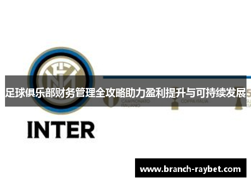 足球俱乐部财务管理全攻略助力盈利提升与可持续发展 足球俱乐部财务管理全攻略助力盈利提升与可持续发展