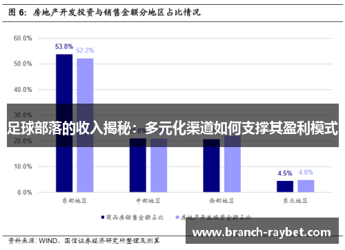 足球部落的收入揭秘：多元化渠道如何支撑其盈利模式