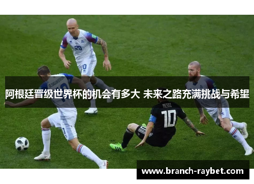 阿根廷晋级世界杯的机会有多大 未来之路充满挑战与希望
