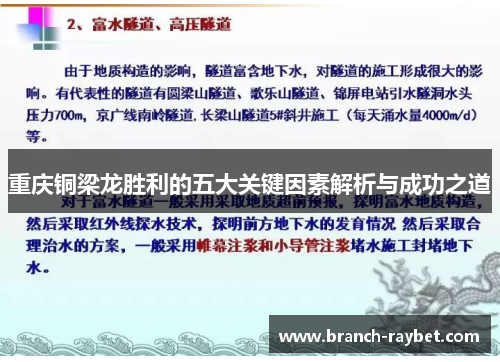 重庆铜梁龙胜利的五大关键因素解析与成功之道