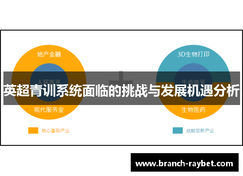 英超青训系统面临的挑战与发展机遇分析