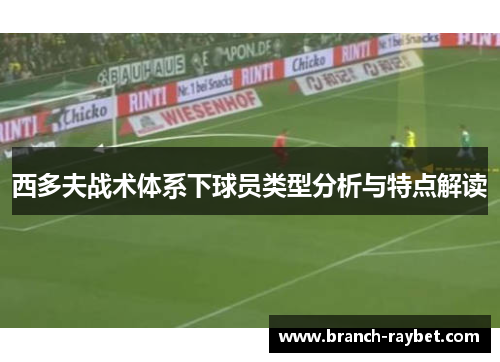 西多夫战术体系下球员类型分析与特点解读