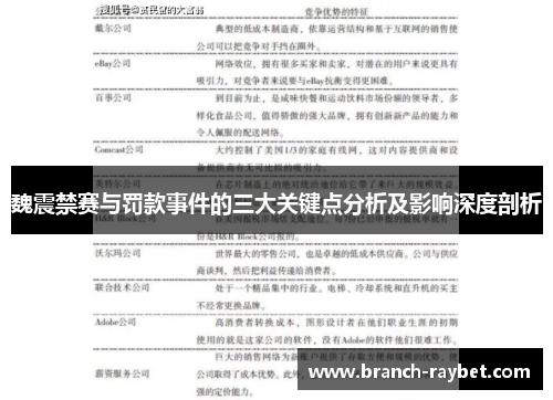魏震禁赛与罚款事件的三大关键点分析及影响深度剖析